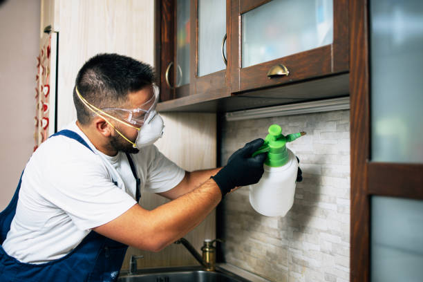 Best Emergency Pest Control  in Beechwood, MI