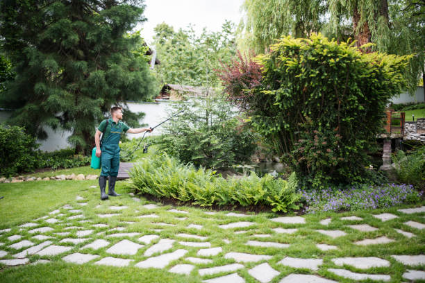 Best Commercial Pest Control Services  in Beechwood, MI