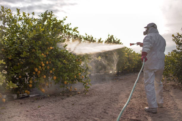 Best Best Pest Control Near Me  in Beechwood, MI