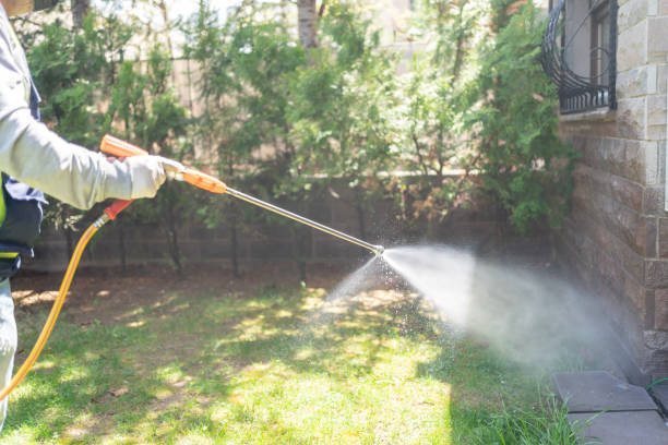 Best Best Pest Control Companies  in Beechwood, MI