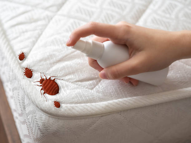 Best Flea Control Services  in Beechwood, MI