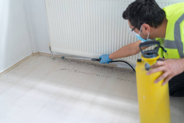Best Residential Pest Control  in Beechwood, MI